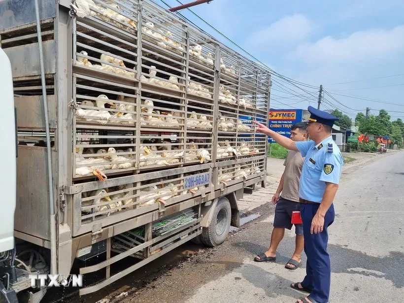 Thái Nguyên: Liên tiếp phát hiện hai vụ vận chuyển gia cầm không giấy kiểm dịch - Ảnh 1.