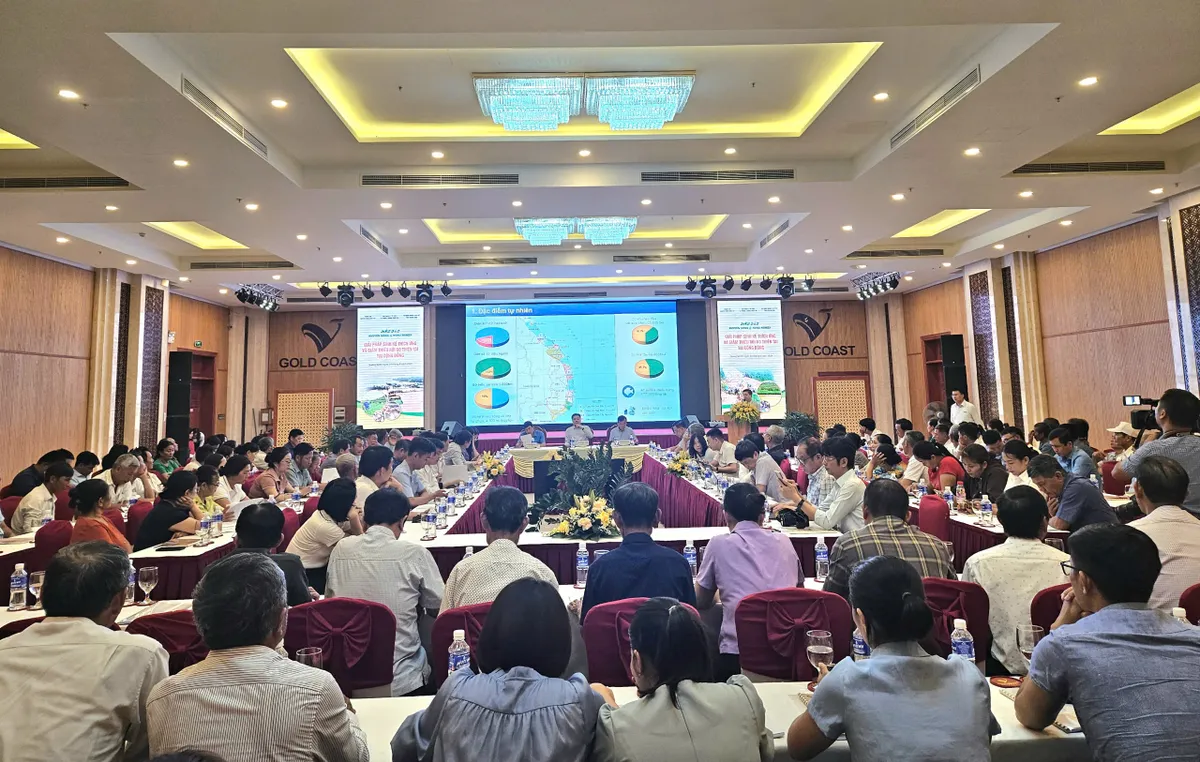 Nhiều giải pháp sinh kế thích ứng và giảm rủi ro thiên tai - Ảnh 1. Nhiều giải pháp sinh kế thích ứng và giảm rủi ro thiên tai - Ảnh 1.