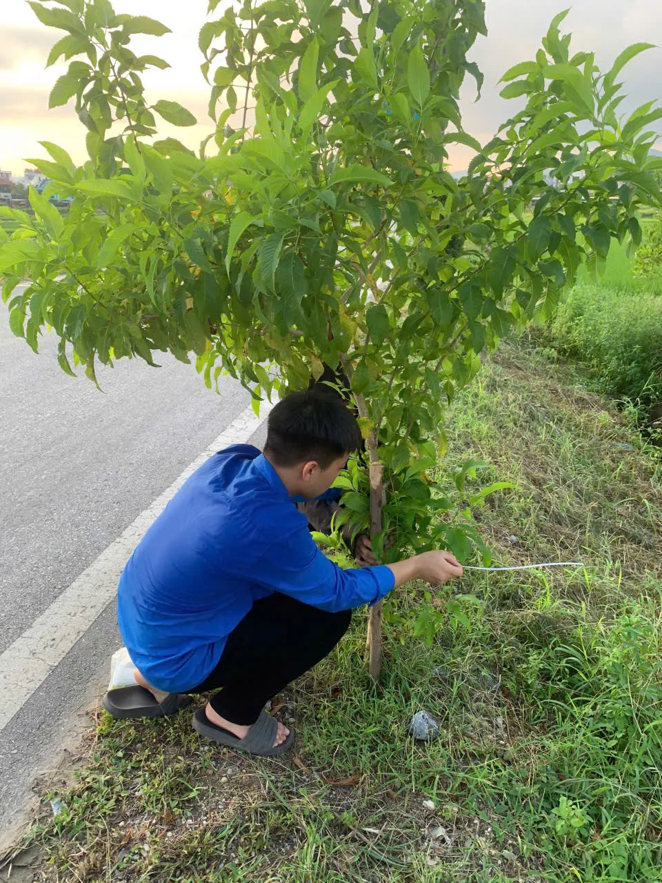 Quảng Ninh: Nhân dân hưởng ứng cùng nhau trồng hàng chục đường hoa dịp Quốc khánh mùng 2/9 - Ảnh 9.