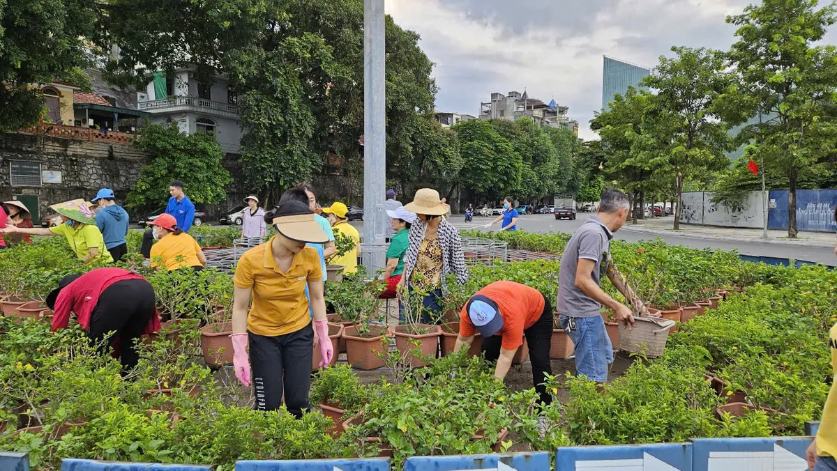 Quảng Ninh: Nhân dân hưởng ứng cùng nhau trồng hàng chục đường hoa dịp Quốc khánh mùng 2/9 - Ảnh 8.