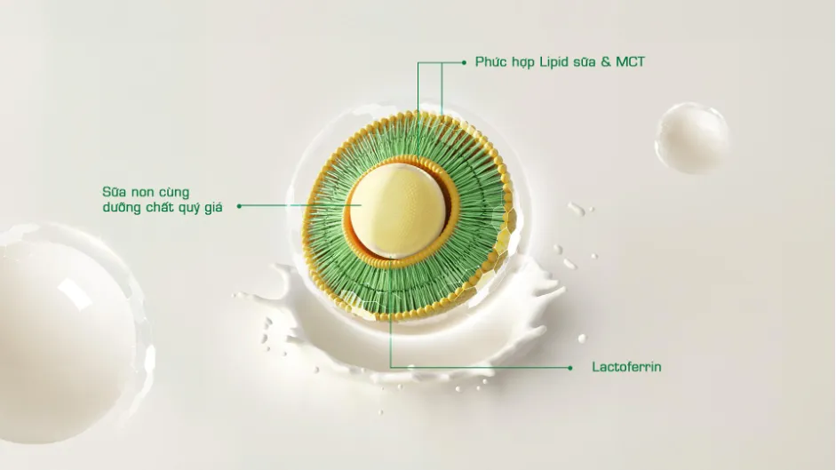 M&oacute;n qu&agrave; sức khỏe to&agrave;n diện - Tất cả lợi &iacute;ch chỉ trong một - Ảnh 3.
