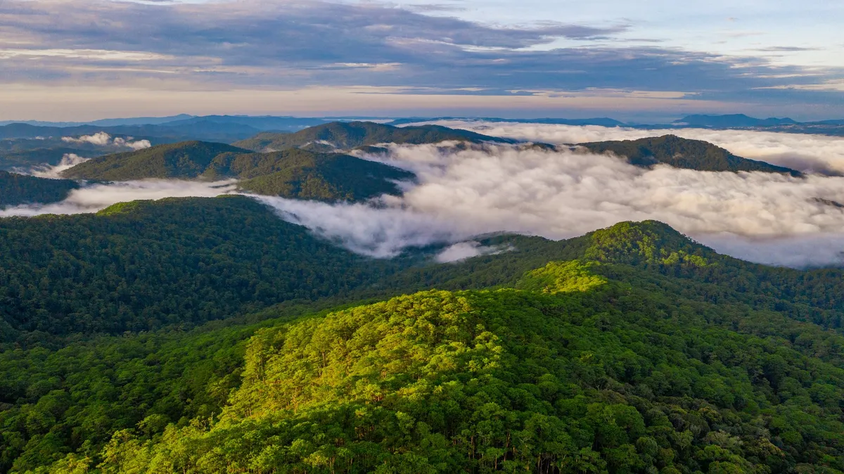 Trekking khám phá VQG Bidoup - Núi Bà và hoà mình vào văn hoá của đồng bào Kho - Ảnh 1.