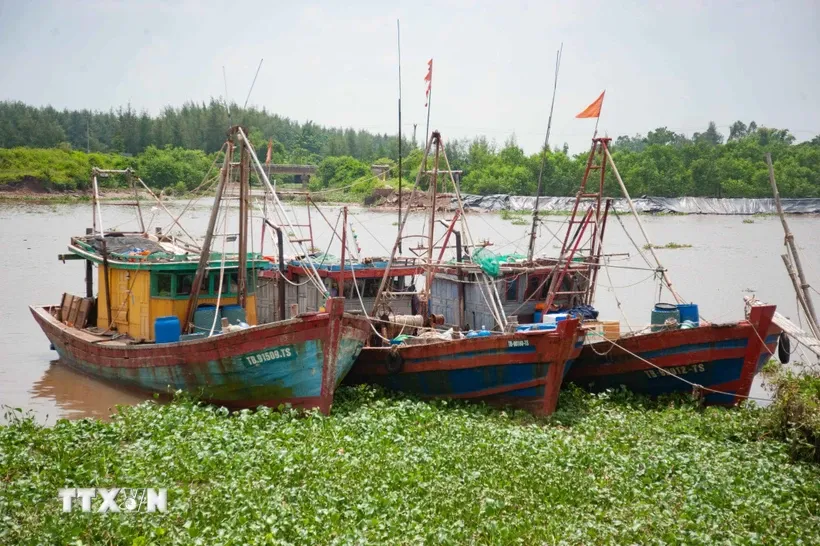 Các địa phương chủ động ứng phó với bão số 3 theo phương châm “bốn tại chỗ” - Ảnh 1.