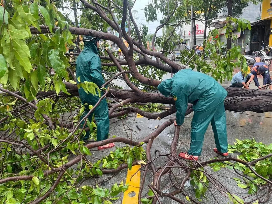 Bình Dương: Gió lốc làm gãy đổ cột điện, cây xanh - Ảnh 6.