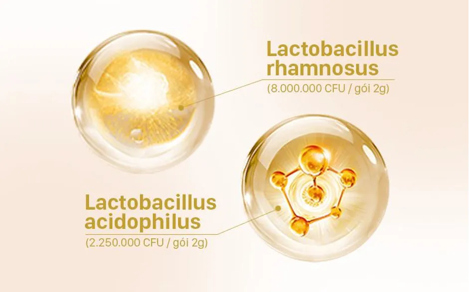 Thực phẩm bảo vệ sức khoẻ Maputi Delicovery Nhật Bản đ&atilde; c&oacute; mặt tại Việt Nam - Ảnh 3.