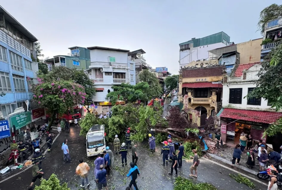 Hà Nội: 1 người chết, 6 người bị thương, 226 cây xanh đổ gẫy do hoàn lưu trước bão số 3 - Ảnh 1.