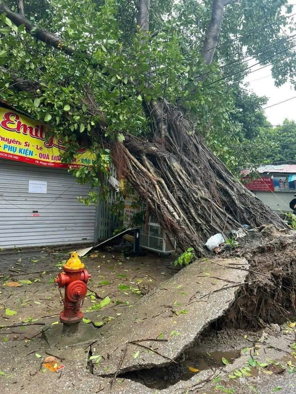 [VIDEO] Hà Nội: Gió giật tới cấp 10, nhà tốc mái, cây đổ la liệt - Ảnh 5.