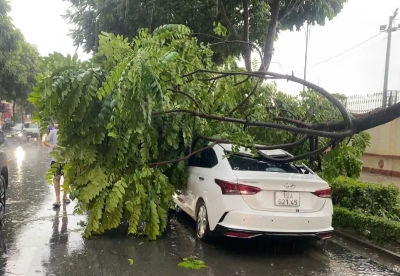 Hà Nội: Hơn 500 người ứng trực 24/24 khắc phục sự cố gãy đổ cây xanh - Ảnh 1.