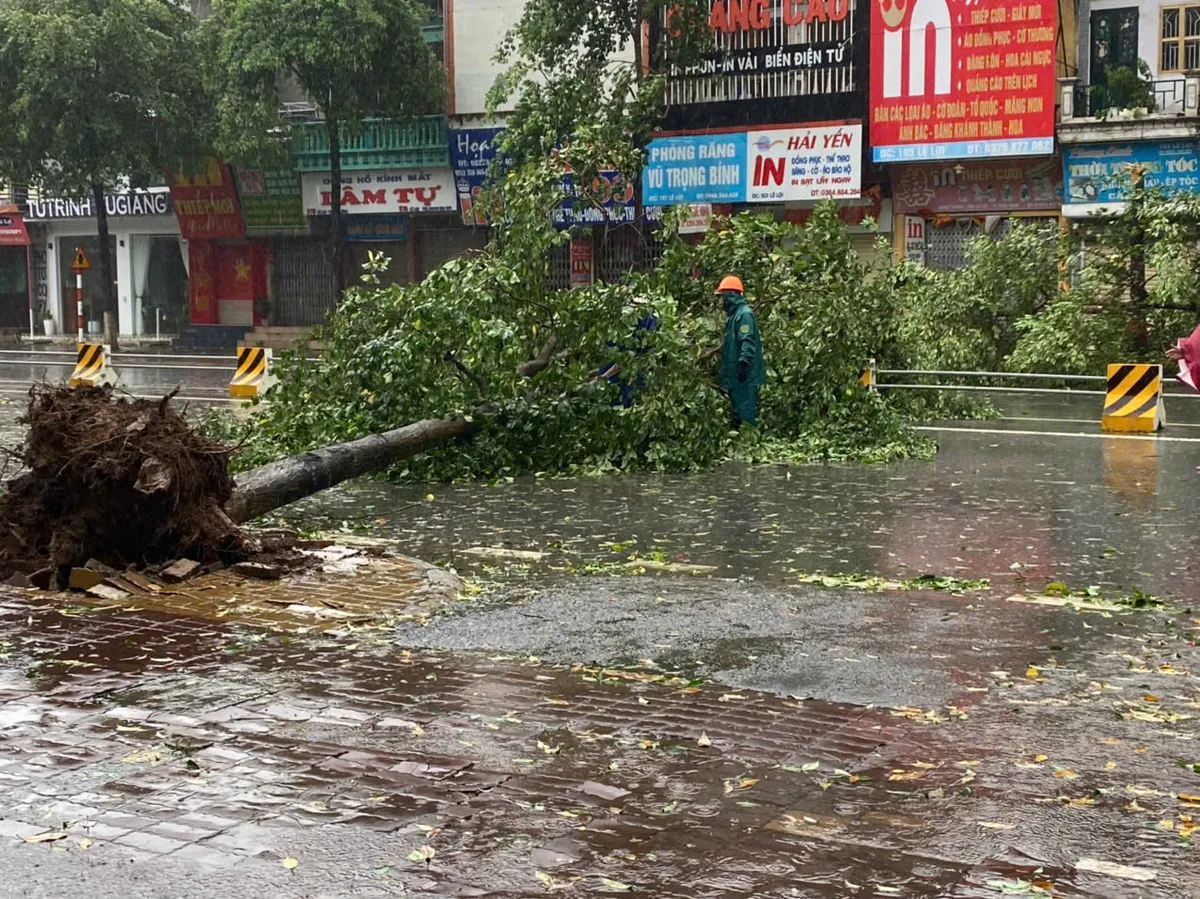 Thái Bình: Nỗ lực khắc phục ảnh hưởng của bão số 3 ngay trong đêm - Ảnh 5.