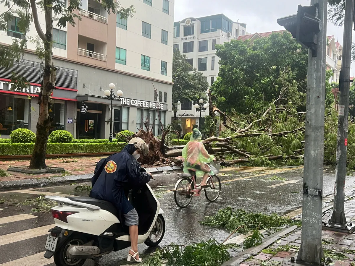 Đường phố Hà Nội tan hoang sau bão số 3 - Ảnh 15.