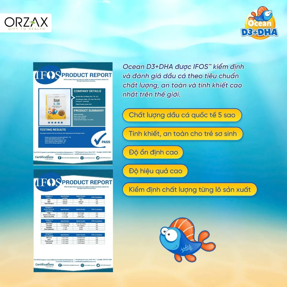 Lý do khiến Ocean D3DHA chiếm trọn tình cảm mẹ Việt - Ảnh 2.