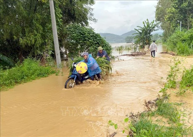 Tuyên Quang: Khẩn trương di dời 348 hộ dân ra khỏi vùng nguy hiểm - Ảnh 1.