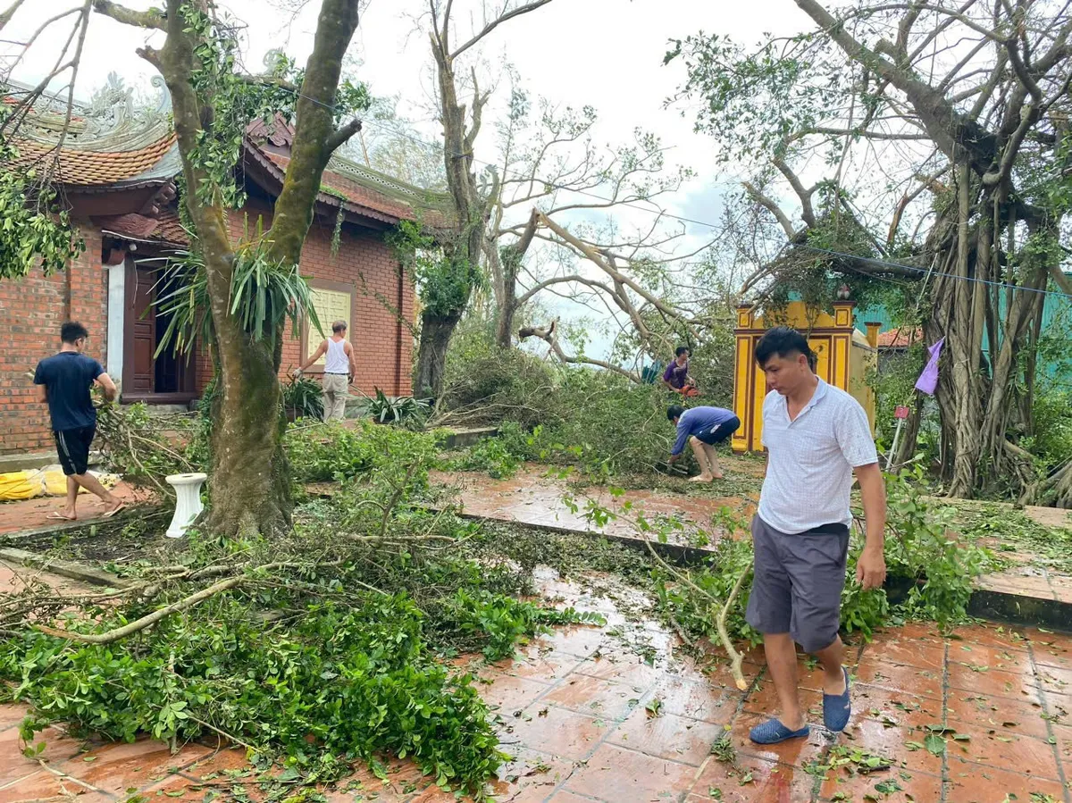 Hạ Long phát động 7 ngày cao điểm khắc phục bão, làm sạch thành phố - Ảnh 5.