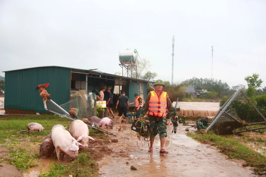 Quảng Ninh: Dồn toàn lực khắc phục hậu quả bão số 3 - Ảnh 2.