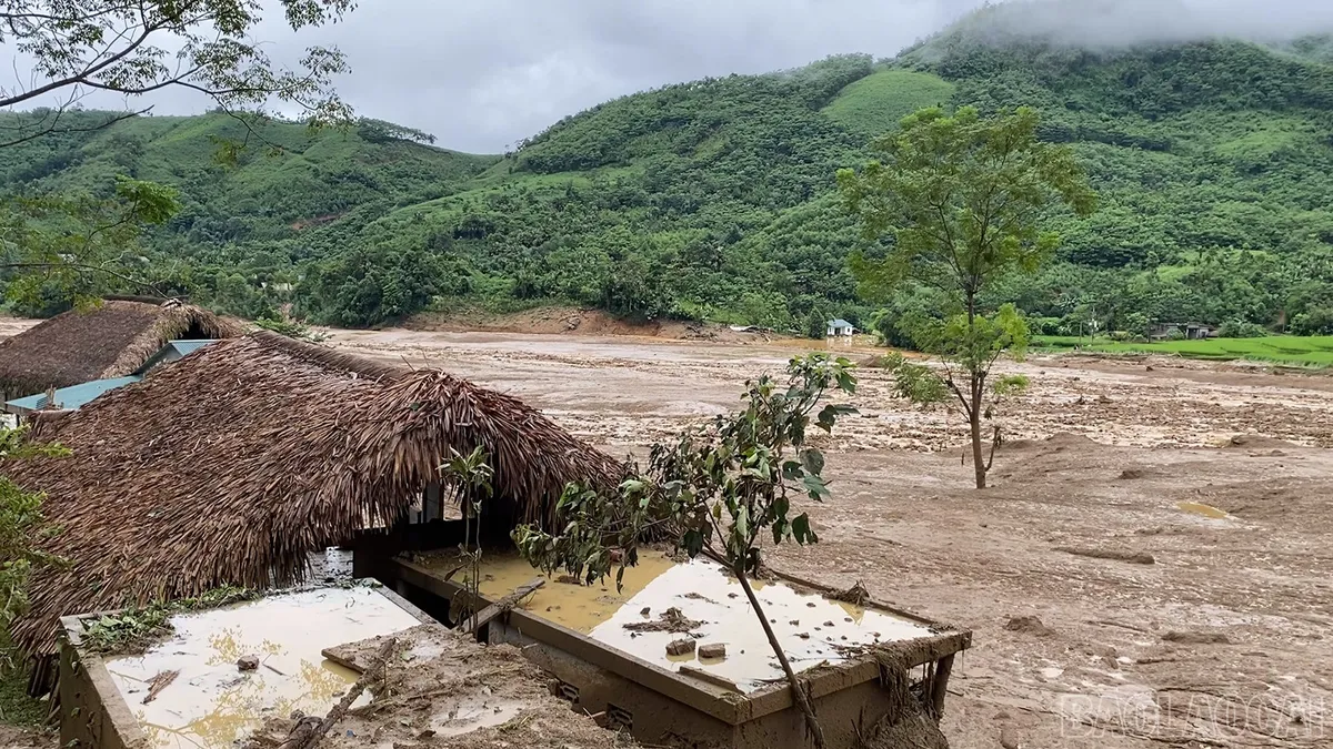 undefined - Ảnh 3.