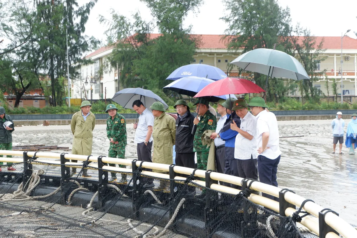 Quảng Ninh đẩy nhanh khắc phục ảnh hưởng bão số 3 tại vịnh Hạ Long và TP Móng Cái - Ảnh 3.