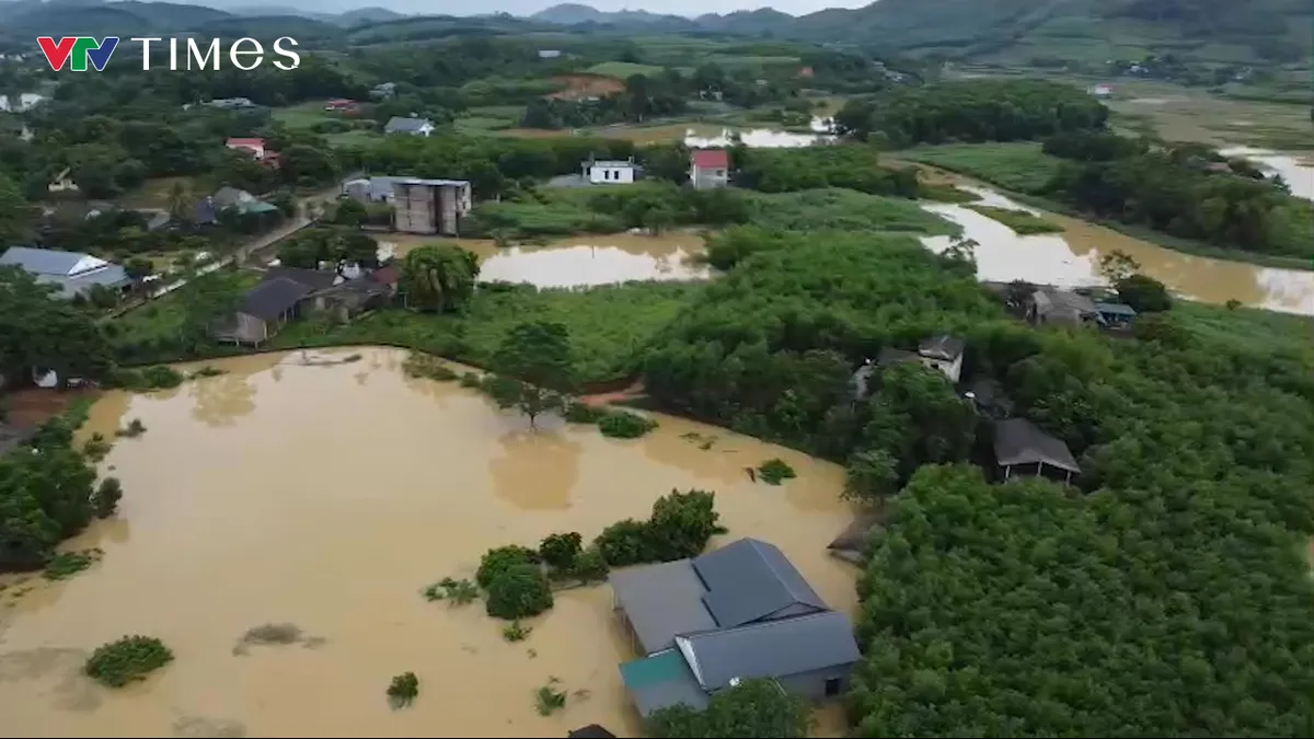 undefined - Ảnh 2.