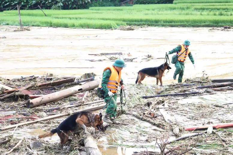 Vụ sạt lở tại Làng Nủ (Lào Cai): “Tìm cái còn trong cái mất” để giảm tối đa đau thương - Ảnh 2.