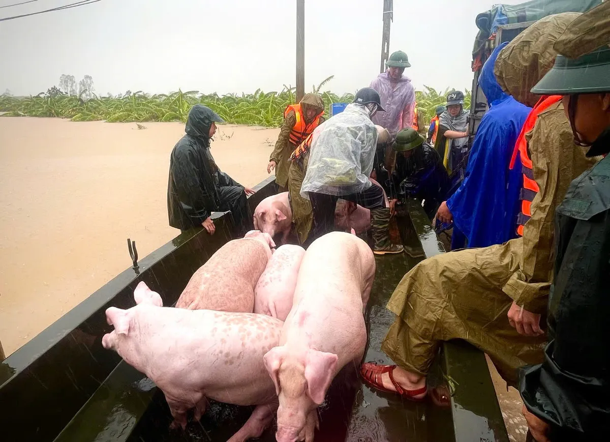 Th&aacute;i B&igrave;nh khẩn trương di dời người d&acirc;n v&ugrave;ng nguy cơ ngập  - Ảnh 10.