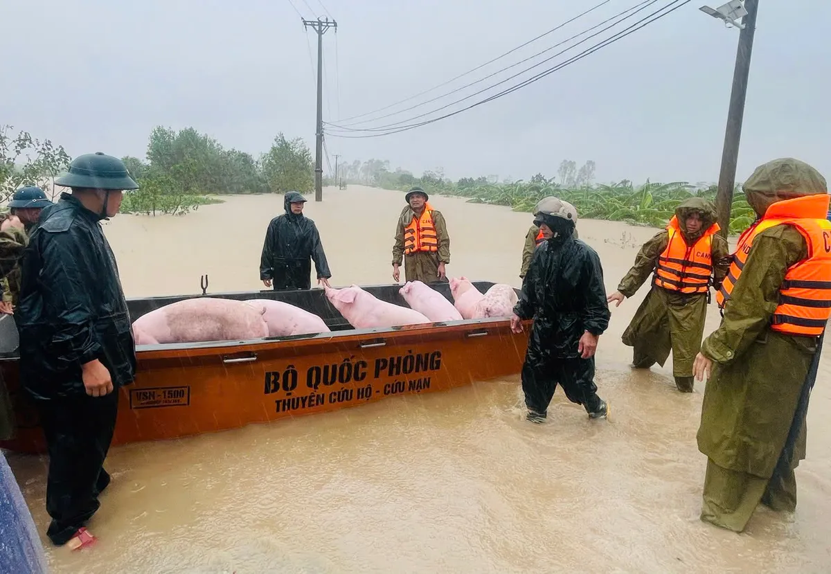 Th&aacute;i B&igrave;nh khẩn trương di dời người d&acirc;n v&ugrave;ng nguy cơ ngập  - Ảnh 5.