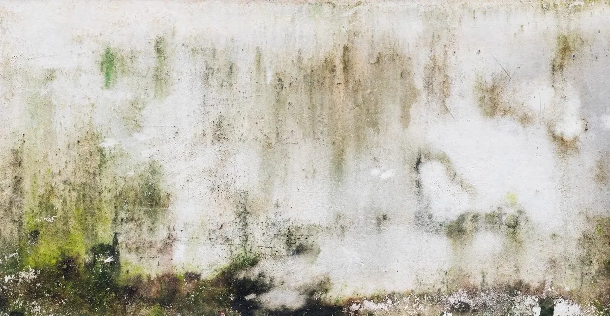 Giải ph&aacute;p chống thấm cho c&ocirc;ng tr&igrave;nh, nh&agrave; ở m&ugrave;a mưa - Ảnh 4.