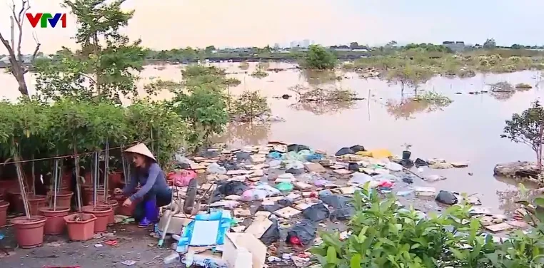 Nông dân “trắng tay” sau mưa bão - Ảnh 2.