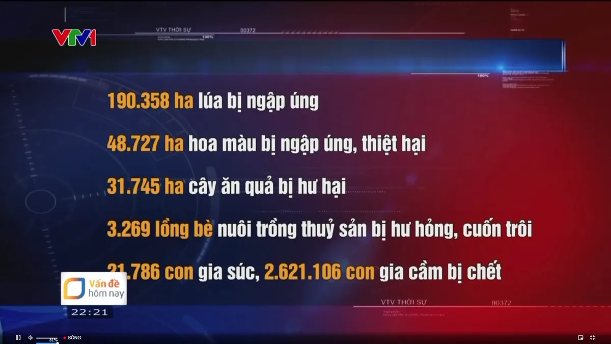 Hơn 190.000 hecta lúa, trên 2 triệu gia súc, gia cầm bị thiệt hại do bão số 3 - Ảnh 1.