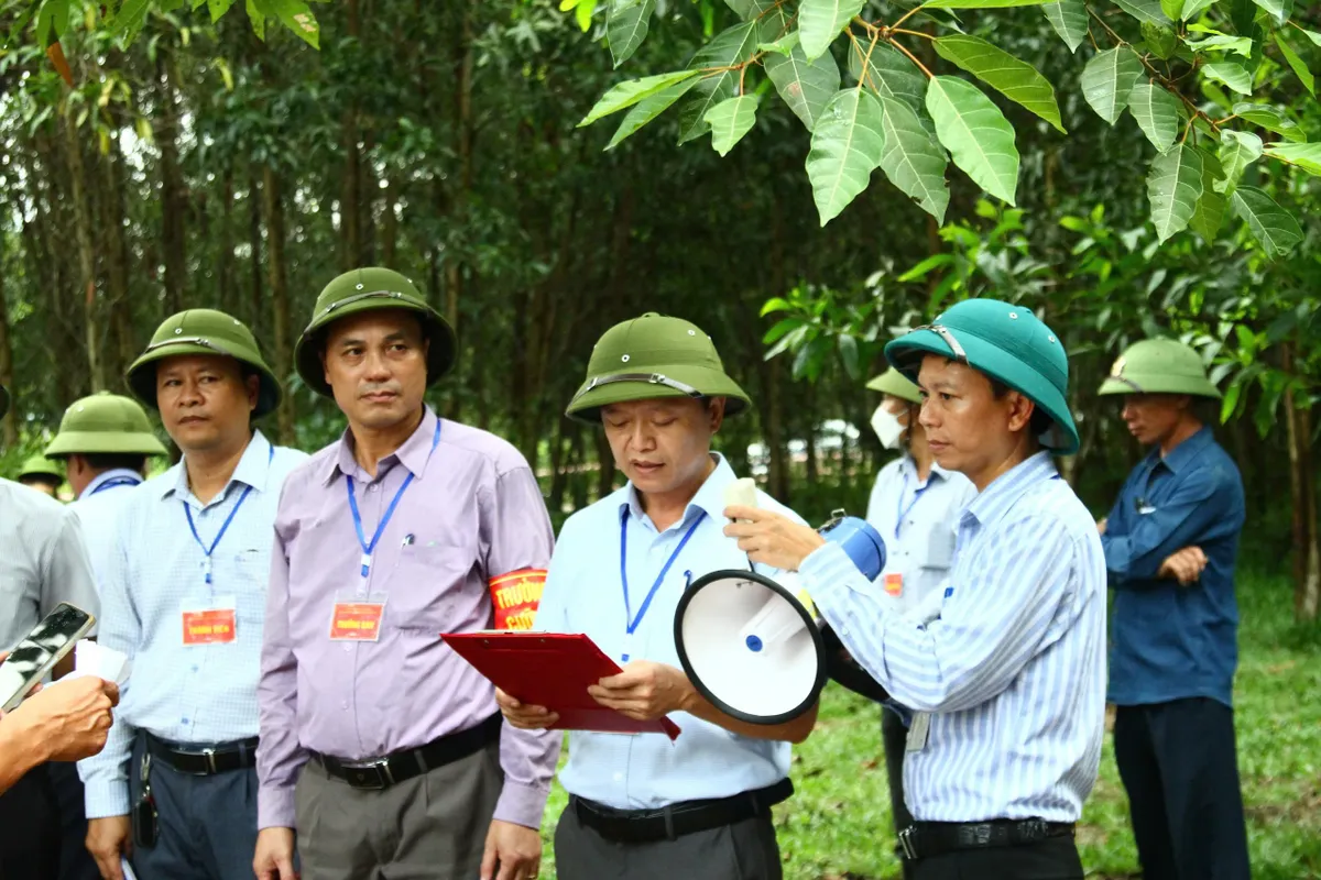 Thực hiện cưỡng chế bàn giao mặt bằng cho Dự án cao tốc Bắc - Nam đoạn qua Quảng Bình - Ảnh 1.