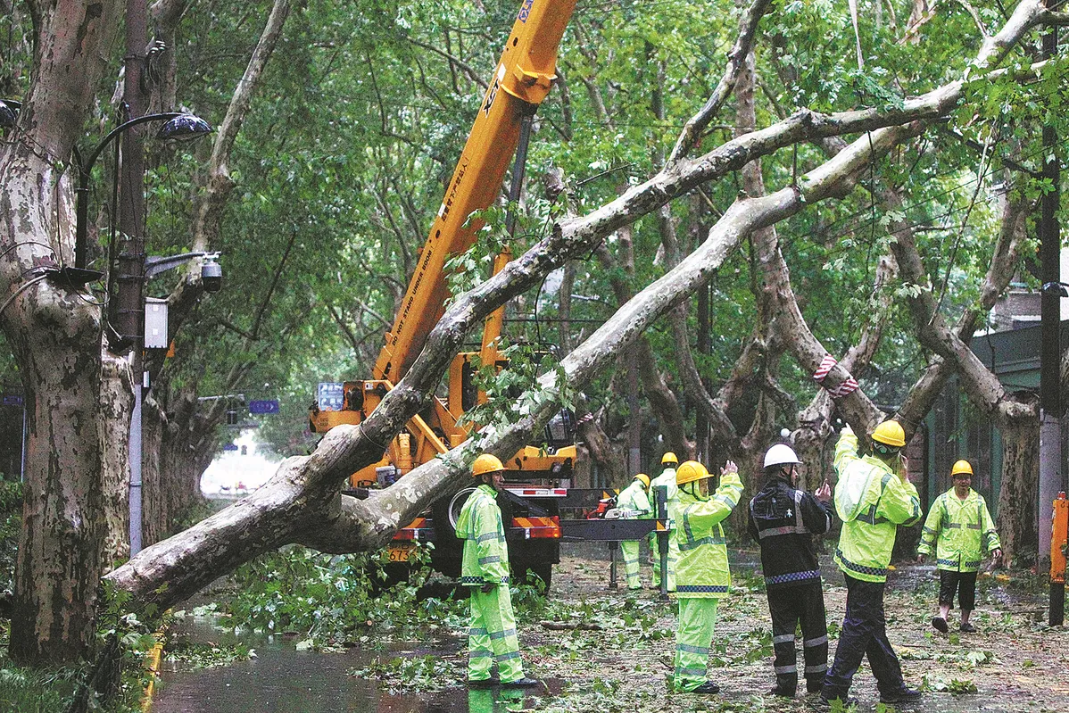 Trung Quốc khắc phục hậu quả siêu bão Bebinca tại Thượng Hải - Ảnh 1.