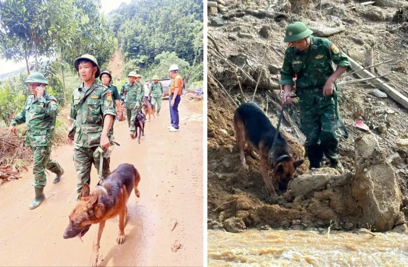 Đưa chó nghiệp vụ đến Nậm Tông (Lào Cai) tìm nạn nhân mất tích - Ảnh 1.