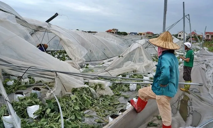 Trợ lực cho doanh nghiệp đứng dậy sau cơn bão số 3 - Ảnh 2.