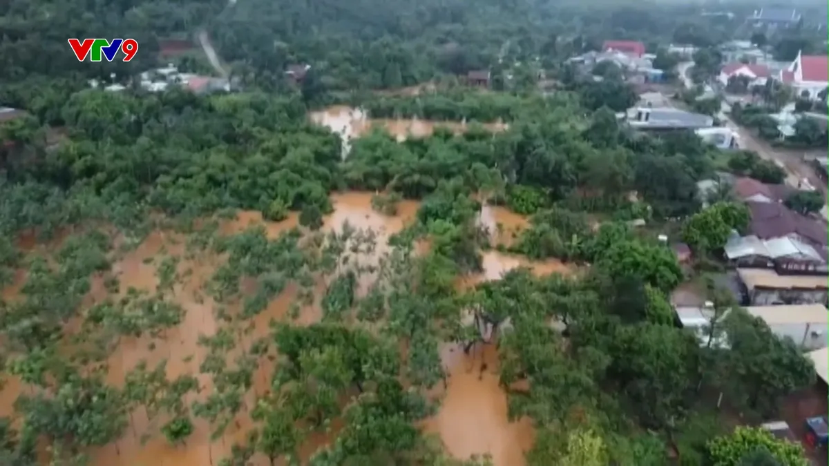 Thời sự: Phương Nam hôm nay (20/9/2024)