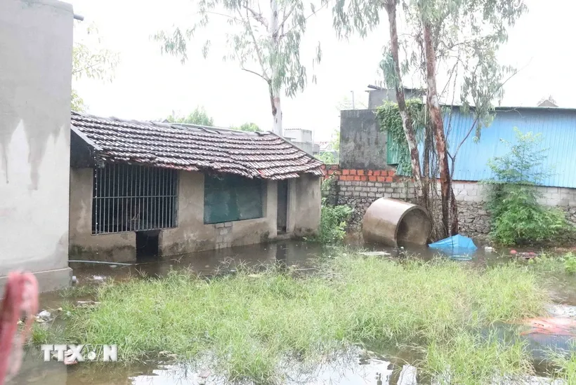 Nghệ An: Di dời người d&acirc;n khỏi khu vực nguy cơ sạt lở, điều tiết nước hồ chứa - Ảnh 1.