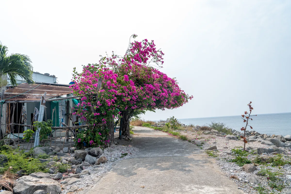 Khảo sát đảo Bích Đầm, Nha Trang hướng tới du lịch cộng đồng xanh và bền vững - Ảnh 7.