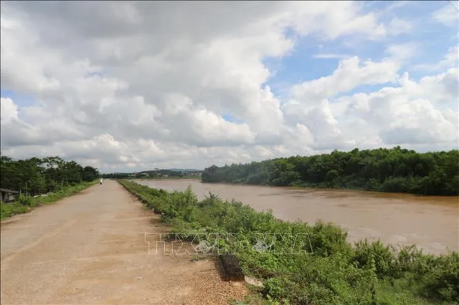 Rà soát, bảo vệ các trọng điểm đê xung yếu tại Thanh Hóa - Ảnh 1.