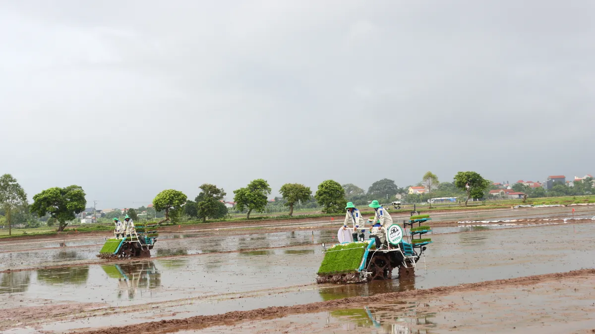 Hà Nội đẩy mạnh ứng dụng khoa học, công nghệ vào sản xuất nông nghiệp - Ảnh 1.