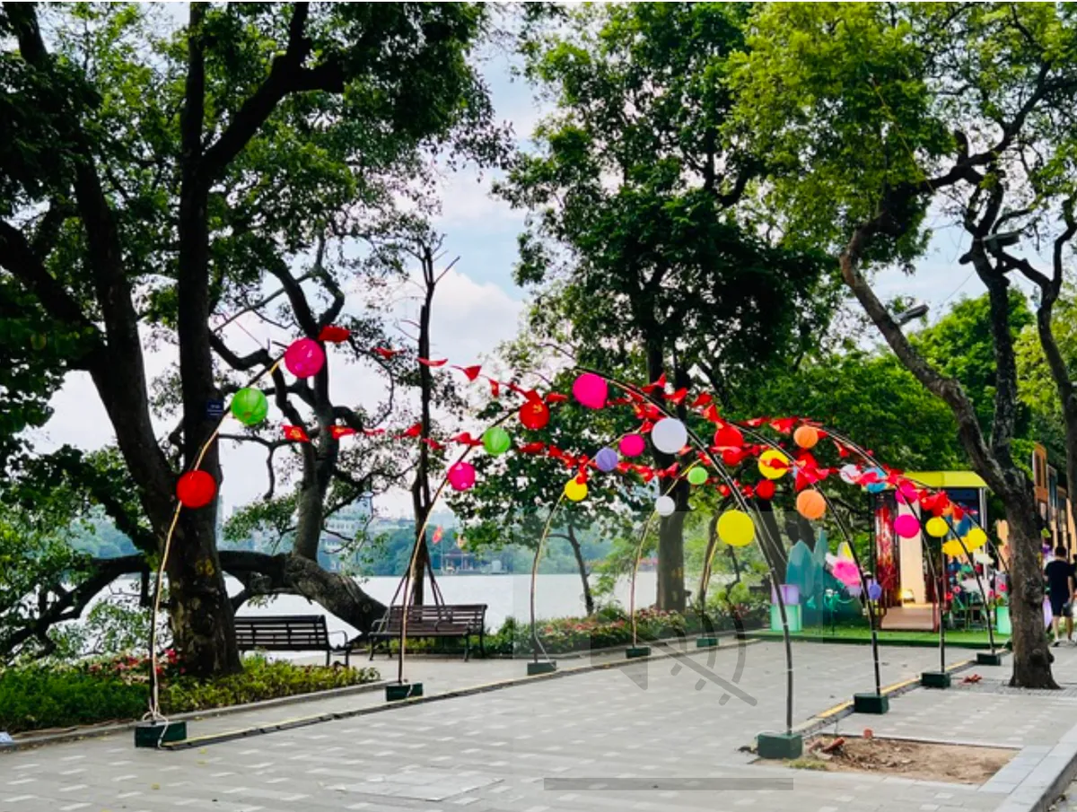 Nỗ lực t&aacute;i thiết c&acirc;y xanh, kh&ocirc;i phục lại diện mạo cho thủ đ&ocirc; H&agrave; Nội - Ảnh 7.