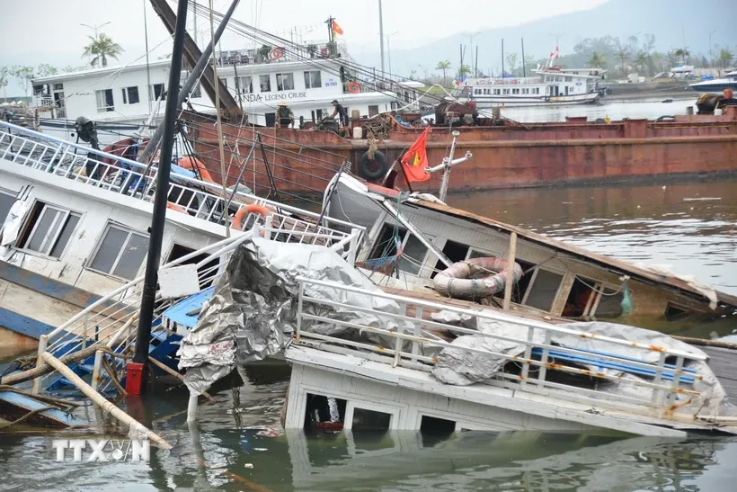 Quảng Ninh đẩy nhanh tiến độ hỗ trợ người dân, doanh nghiệp khắc phục hậu quả bão số 3 - Ảnh 1.