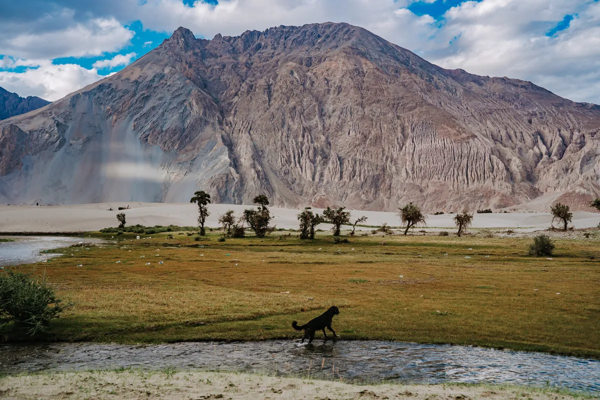 Ngây ngất trước vẻ đẹp của vùng đất thiêng trên dãy Himalaya qua chùm ảnh của nhiếp ảnh gia Việt - Ảnh 12.