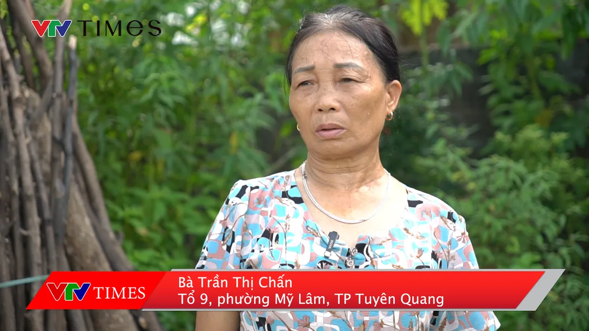 Tuyên Quang: Hơn 20 năm đi tìm giấy chứng nhận quyền sử dụng đất (Bài 2) - Ảnh 4.