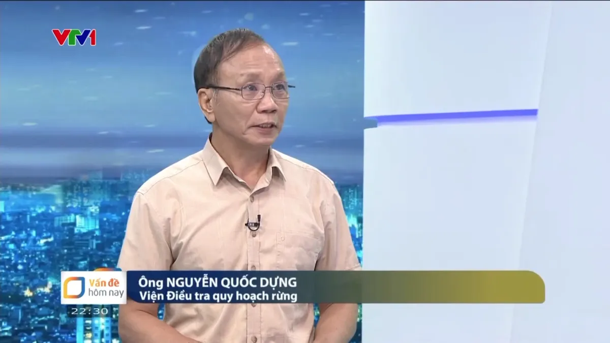 Giải pháp nào để phục hồi và bảo vệ rừng hiệu quả sau thiên tai? - Ảnh 2.