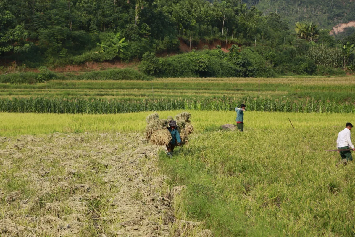 Đoàn công tác Quỹ Tấm lòng Việt thăm tặng quà người dân thôn Làng Nủ và thôn Nậm Tông - Ảnh 10.