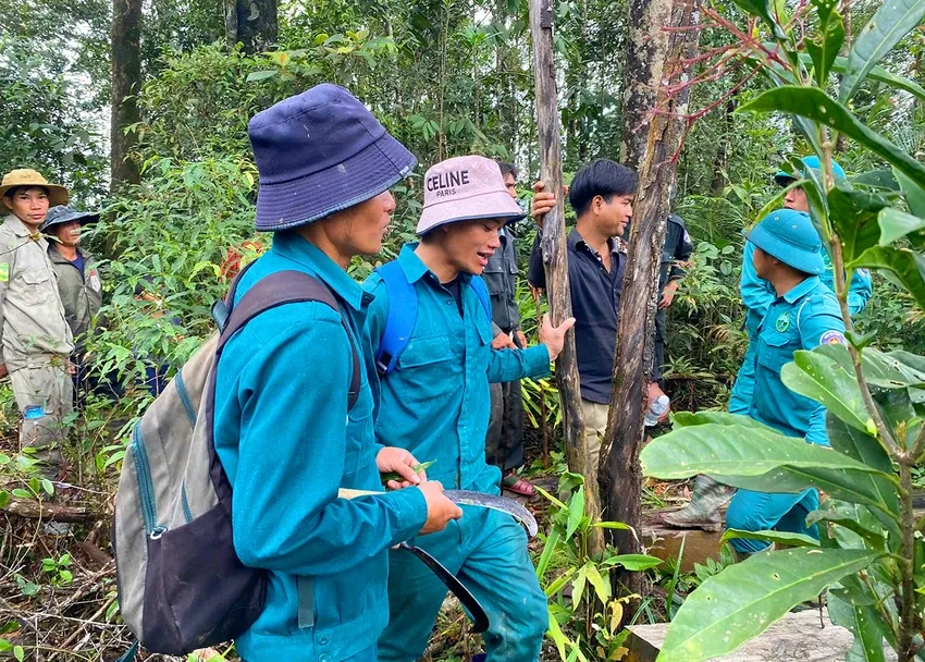 Tìm thấy người phụ nữ sau 3 ngày đi lạc trong rừng - Ảnh 1.