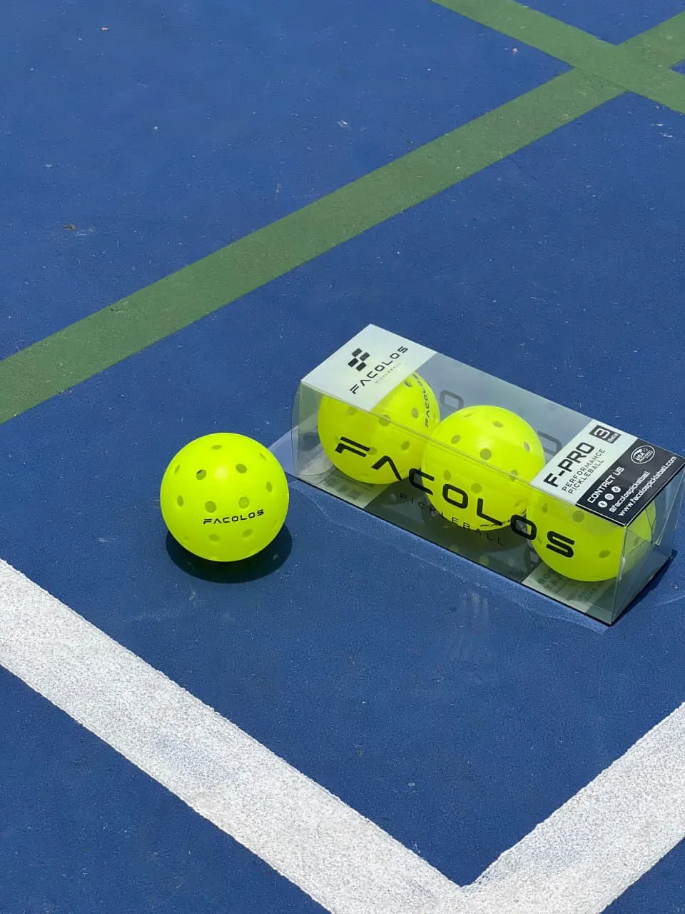 Đội tuyển pickleball chuy&ecirc;n nghiệp đầu ti&ecirc;n của Việt Nam tham gia giải PPA Tour - Ảnh 2.