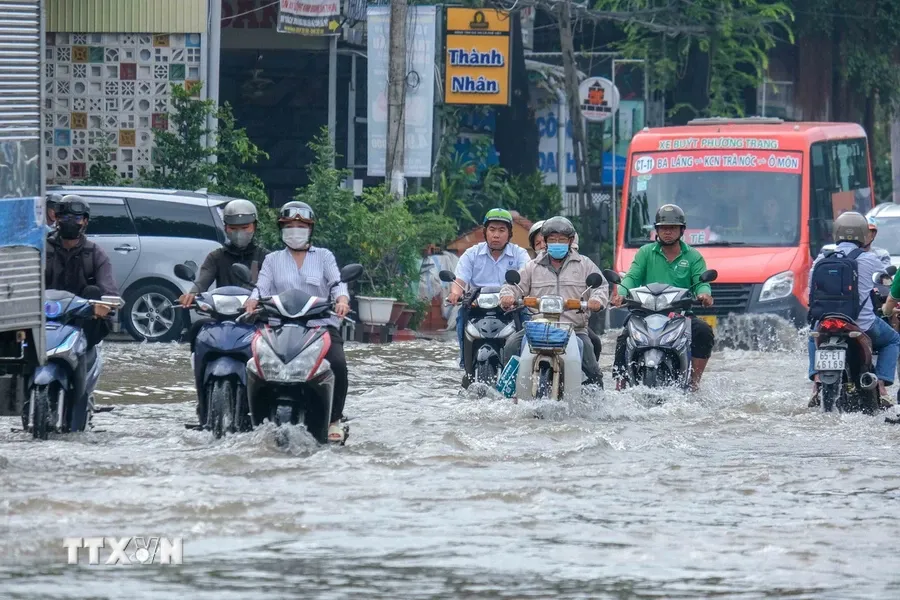 Triều cường ở Cần Thơ đạt đỉnh, đời sống bà con gặp khó khăn - Ảnh 3.