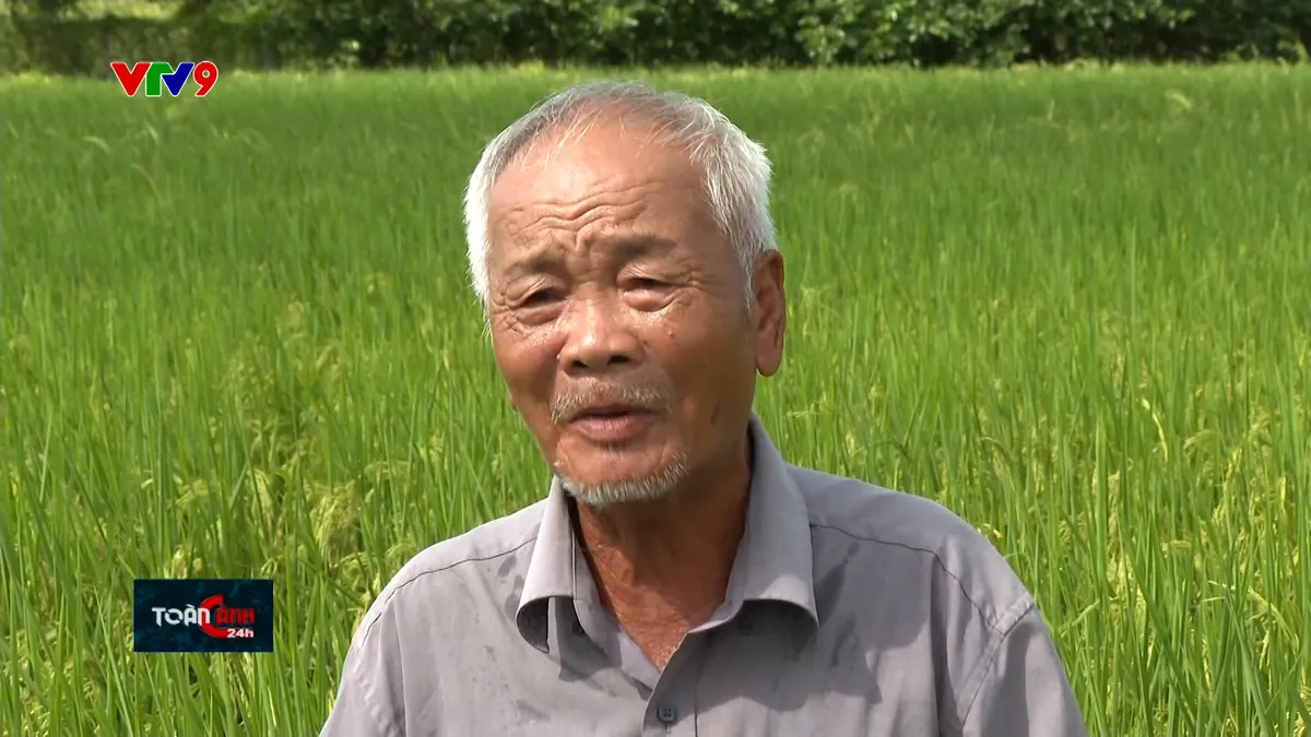 TC24H-2010-17 Nguyễn Văn hai.jpg