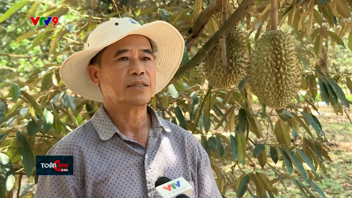 TC24H-2010-17 PHạm Trung Việt.jpg
