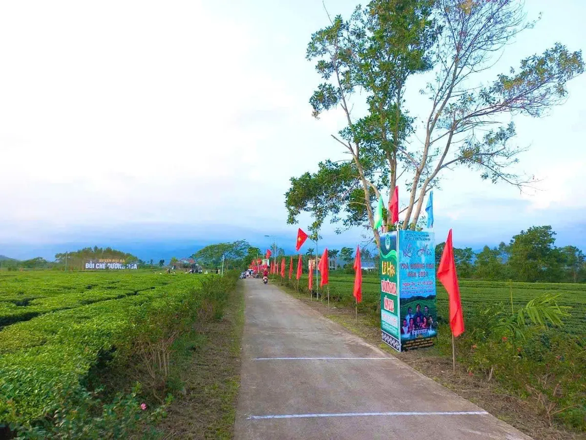 Quảng Ninh: Sẵn s&agrave;ng tổ chức lễ hội Tr&agrave; đường hoa ở huyện Hải H&agrave; - Ảnh 6.