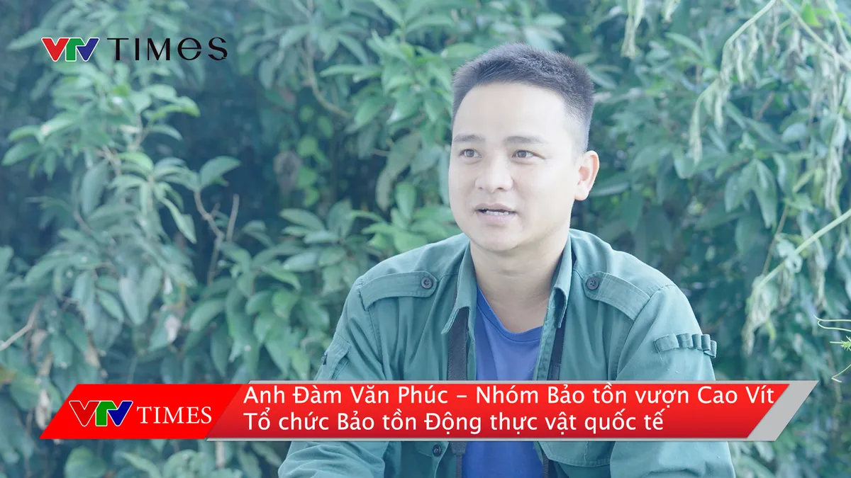 Cao Bằng: Nỗ lực bảo tồn vượn Cao Vít - Ảnh 4.