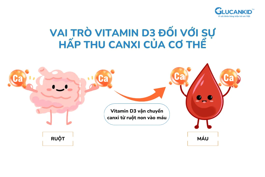 Vitamin D3 cho trẻ em, bạn đã bổ sung đúng cách chưa? - Ảnh 1.